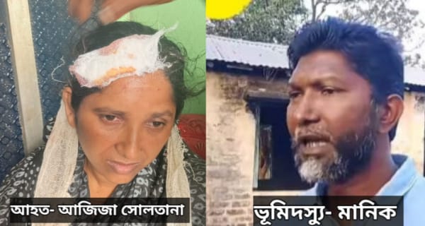 চকরিয়া হারবাং  ভূমিদস্যু মানিকের নেতৃত্বে জমি বিরোধকে কেন্দ্র করে  ২ নারীকে কুপিয়ে জখম করার অভিযোগ উঠেছে