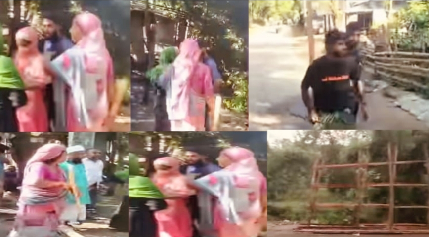 লামায় দখল বাণিজ্যে বাজিমাত করে চলছে আওয়ামী দোসর এক নারী -